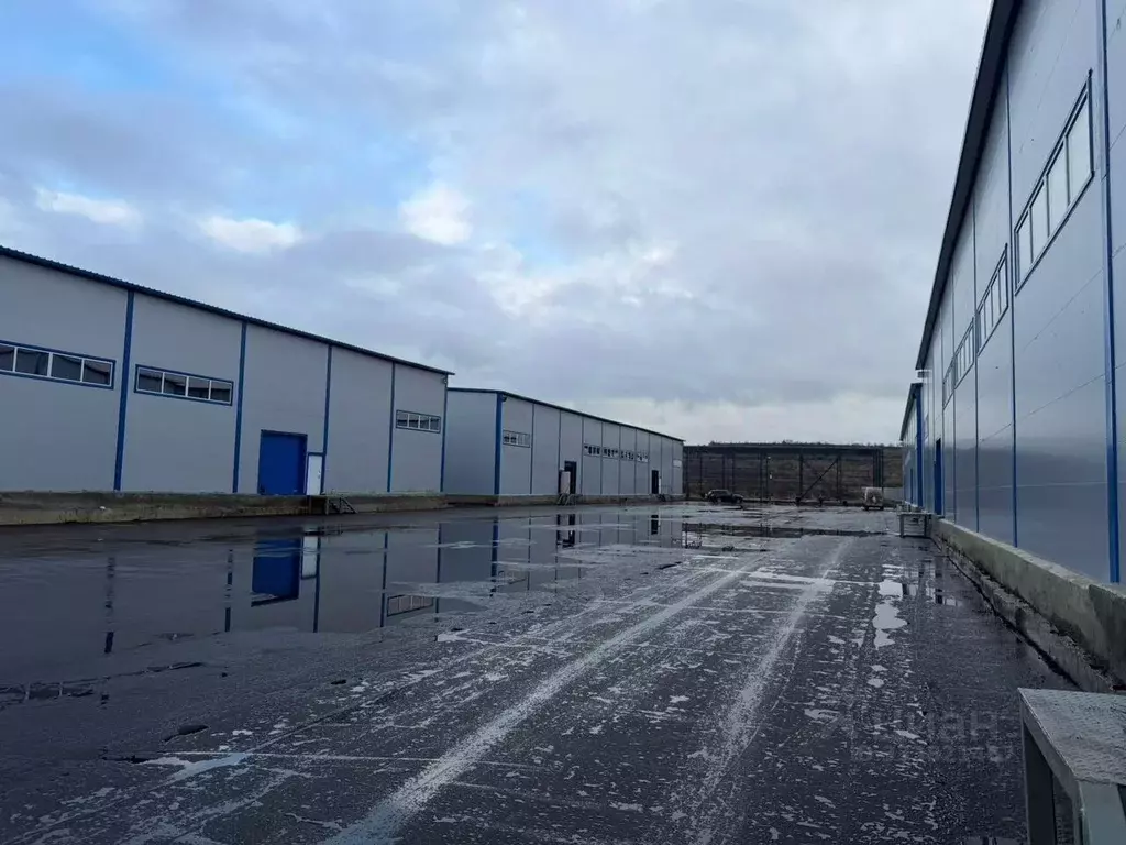 Склад в Московская область, Люберцы городской округ, д. Торбеево уч5 ... - Фото 2
