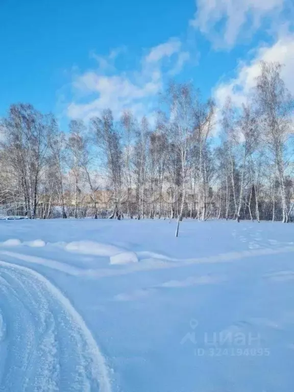 Участок в Новосибирская область, Мошковский район, пос. Октябрьский ... - Фото 2