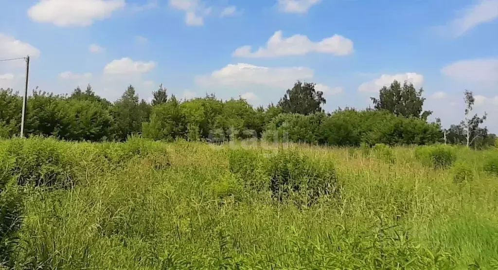 Участок в Брянская область, Брянский район, Мичуринское с/пос, д. ... - Фото 1