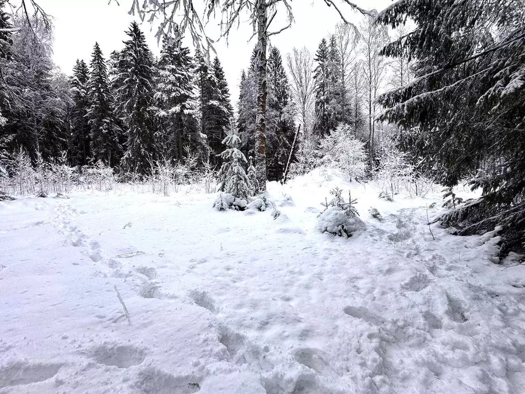 Участок, 76.8 сот., сельхоз (снт или днп) - Фото 2