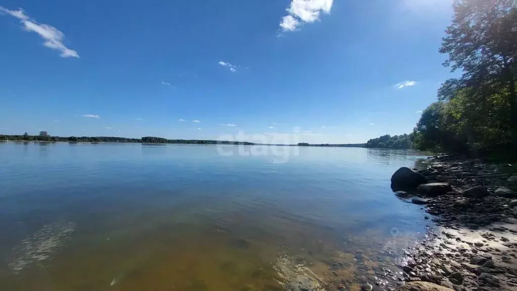 Участок в Ярославская область, Мышкинский муниципальный округ, с. ... - Фото 2