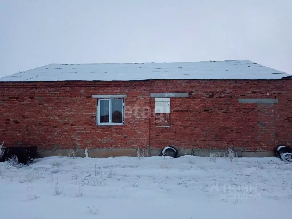 Дом в Челябинская область, Троицк Степная ул. (134 м) - Фото 1