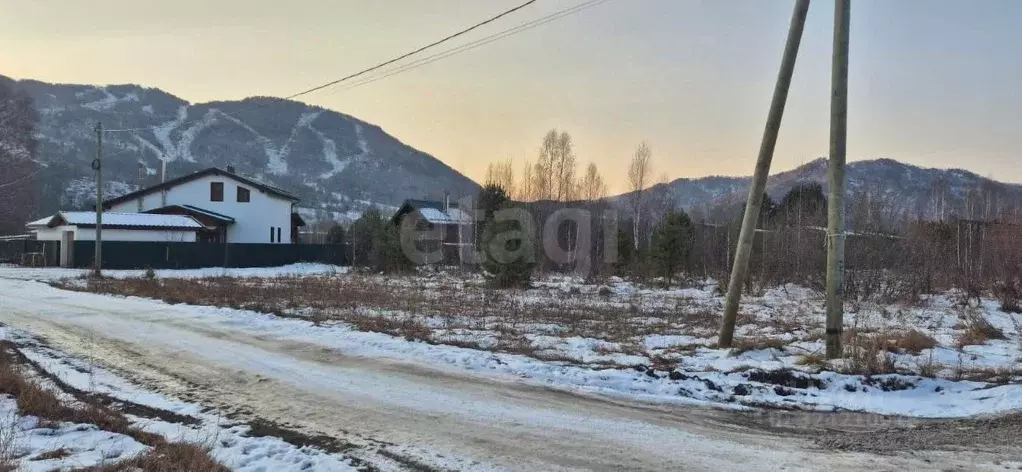 Участок в Алтай, Майминский район, Манжерокское с/пос, с. Озерное ул. ... - Фото 1