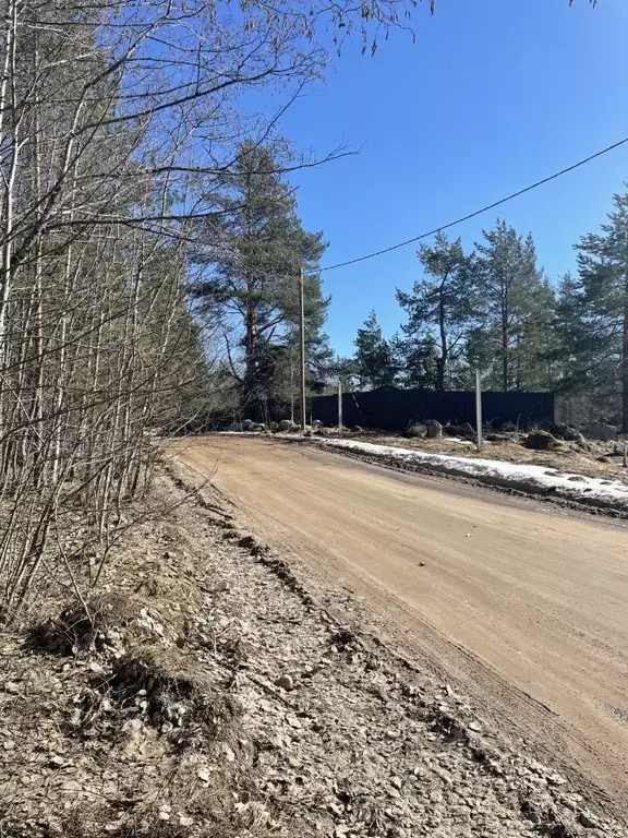 участок в ленинградская область, приозерский район, мельниковское . - Фото 0