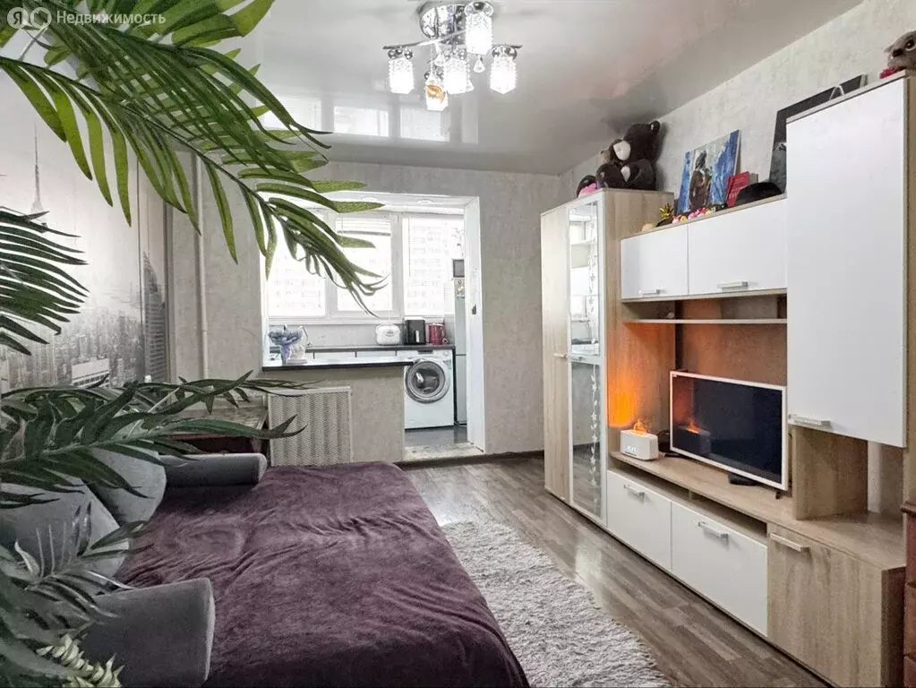 Квартира-студия: Киров, Первомайский район, Заводская улица, 6 (22.8 ... - Фото 1