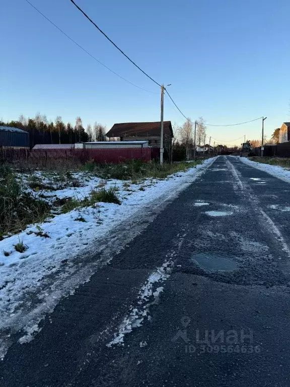 Участок в Ленинградская область, Сосновый Бор ул. Заозерная, 126 (12.0 ... - Фото 1