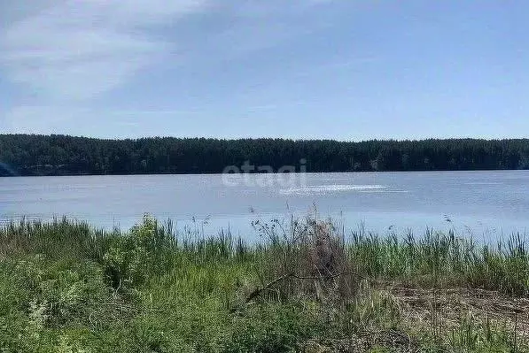 Участок в Свердловская область, Сысертский муниципальный округ, с. ... - Фото 1