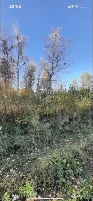Участок в Ленинградская область, Кировский район, Назиевское городское ... - Фото 0