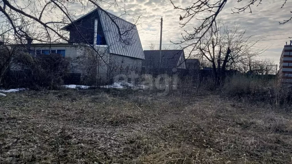 Участок в Саратовская область, Энгельсский район, Терновское ... - Фото 1