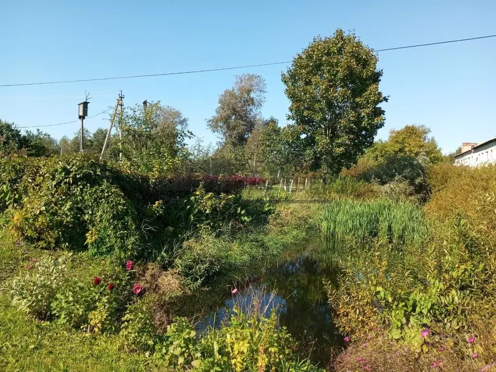 Дом в Новгородская область, Новгородский район, Тесово-Нетыльское ... - Фото 0