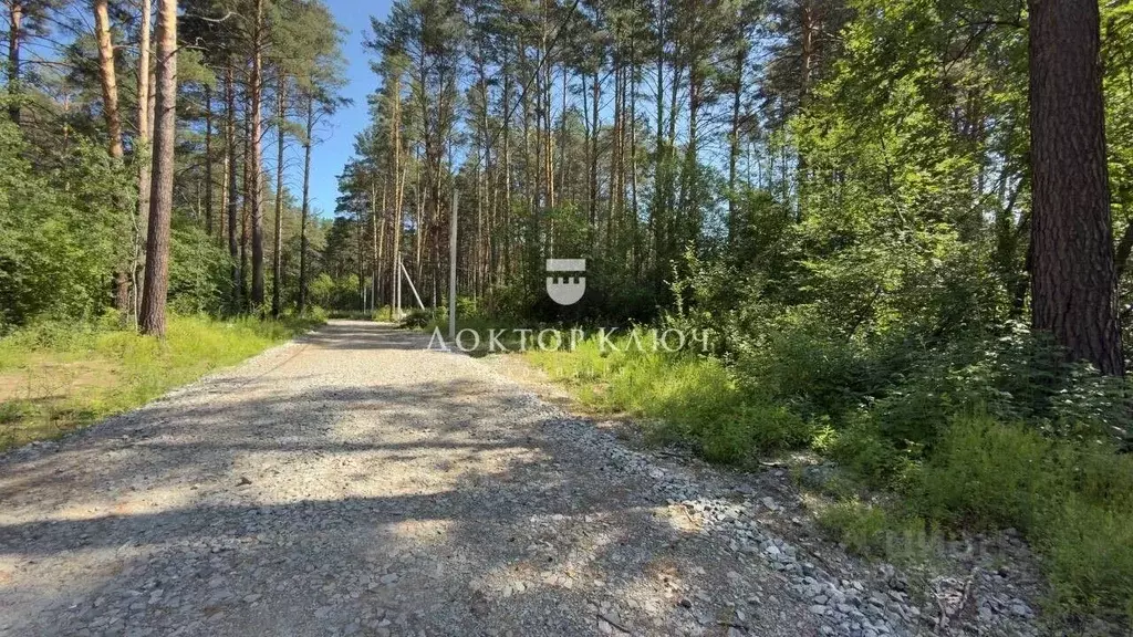 Участок в Новосибирская область, Новосибирский район, с. Барышево ... - Фото 2