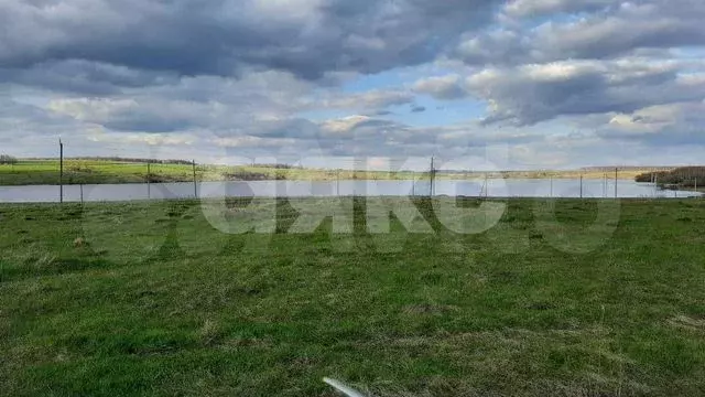 Участок 12,5 сот. (ИЖС) - Фото 0