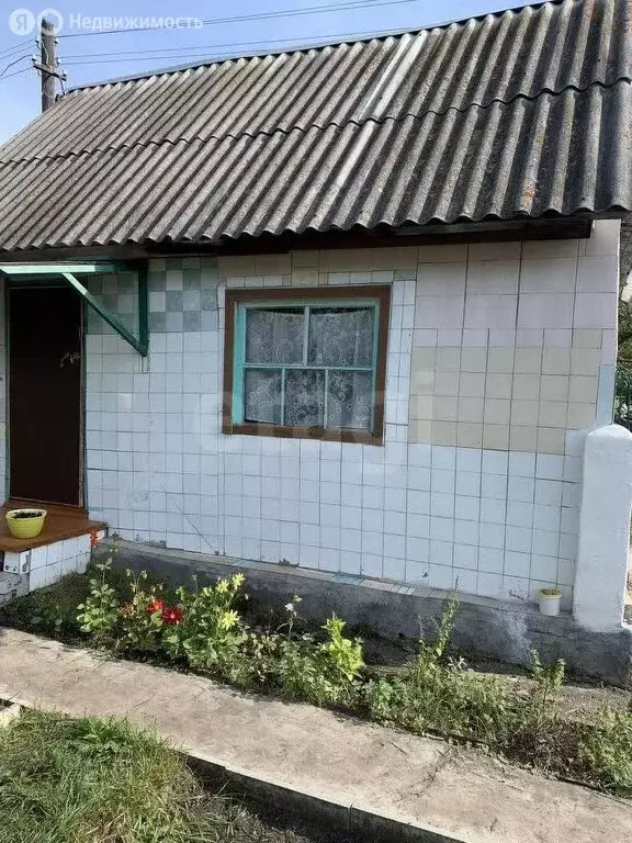 Участок в Миасс, СНТ Ильмены (4.1 м) - Фото 1