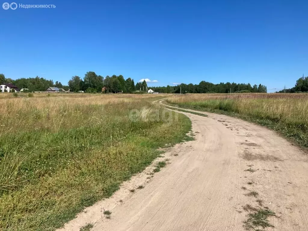 Участок в Красносельский район, Гридинское сельское поселение, деревня ... - Фото 1