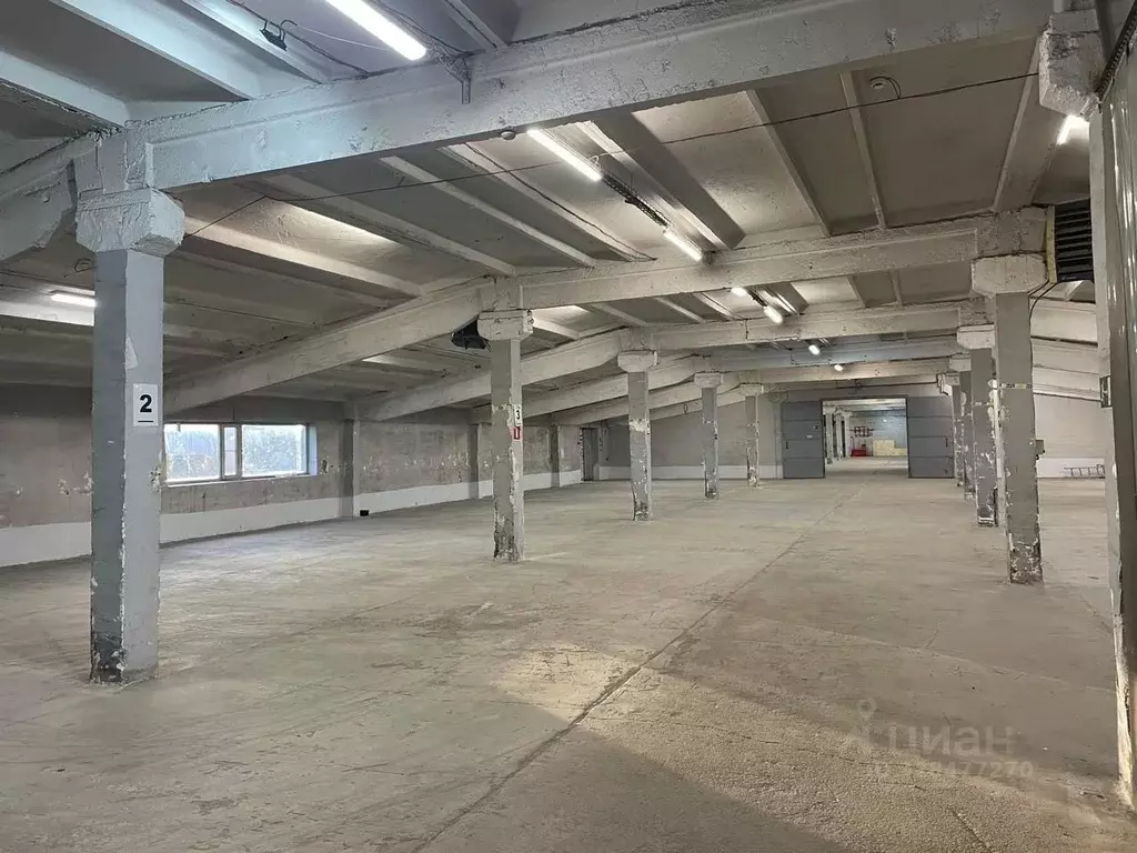 Склад в Ленинградская область, Ломоносовский район, д. Санино 42Е ... - Фото 1