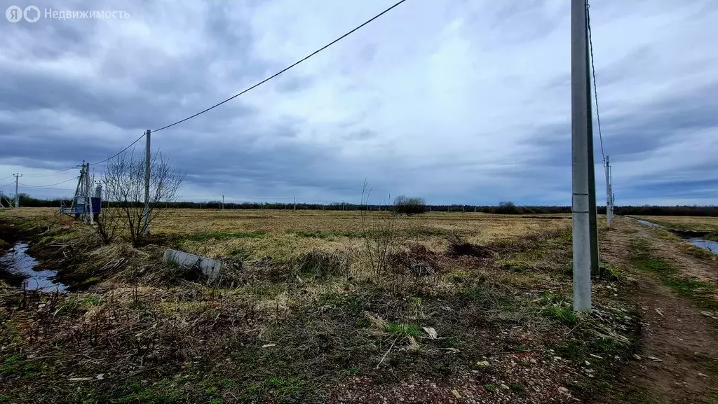 Участок в Архангельская область, Приморский муниципальный округ, СНТ ... - Фото 2