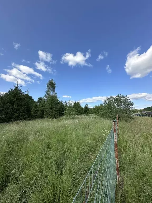 Участок в Калужская область, Жуковский муниципальный округ, д. Ольхово ... - Фото 2