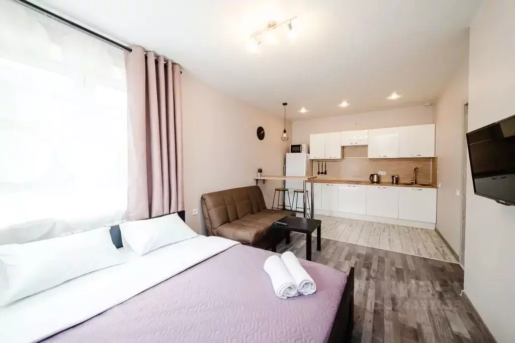 Студия Московская область, Лыткарино ул. Ленина, 12 (29.0 м) - Фото 1