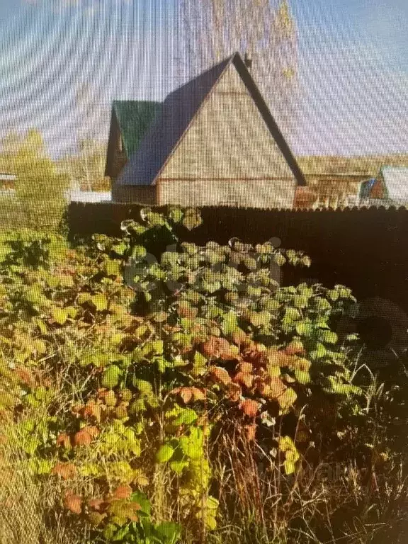 Участок в Новосибирская область, Бердск Марьин Лог СНТ, ул. 31-я, 3 ... - Фото 1