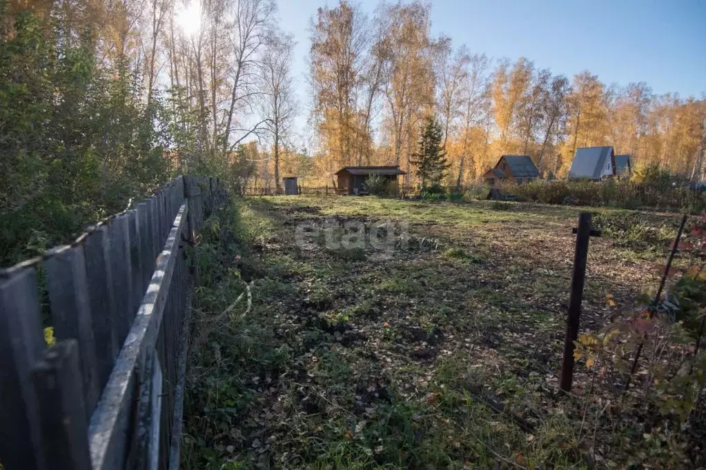 Участок в Новосибирская область, Бердск Ветеран садовое товарищество, ... - Фото 0