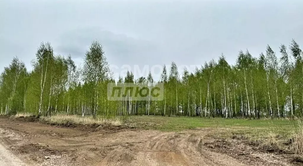 Участок в Рязанская область, Рязанский муниципальный округ, с. Глебово ... - Фото 2