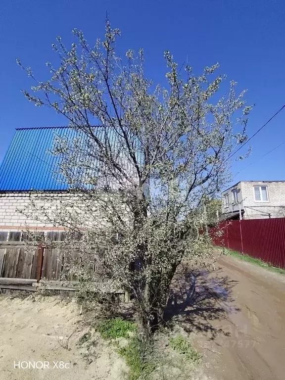 Участок в Волгоградская область, Городищенский район, Царицынское ... - Фото 1