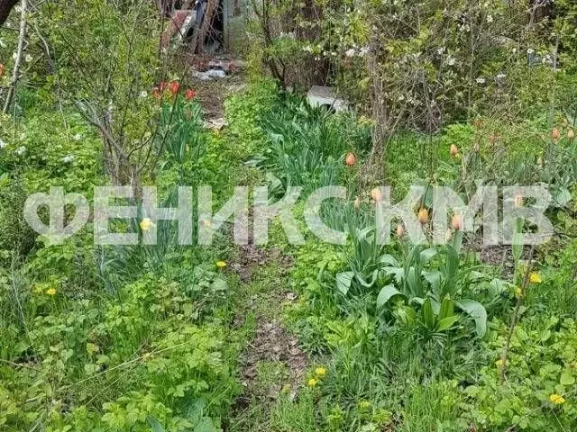 Участок 9 сот. (ИЖС) - Фото 1