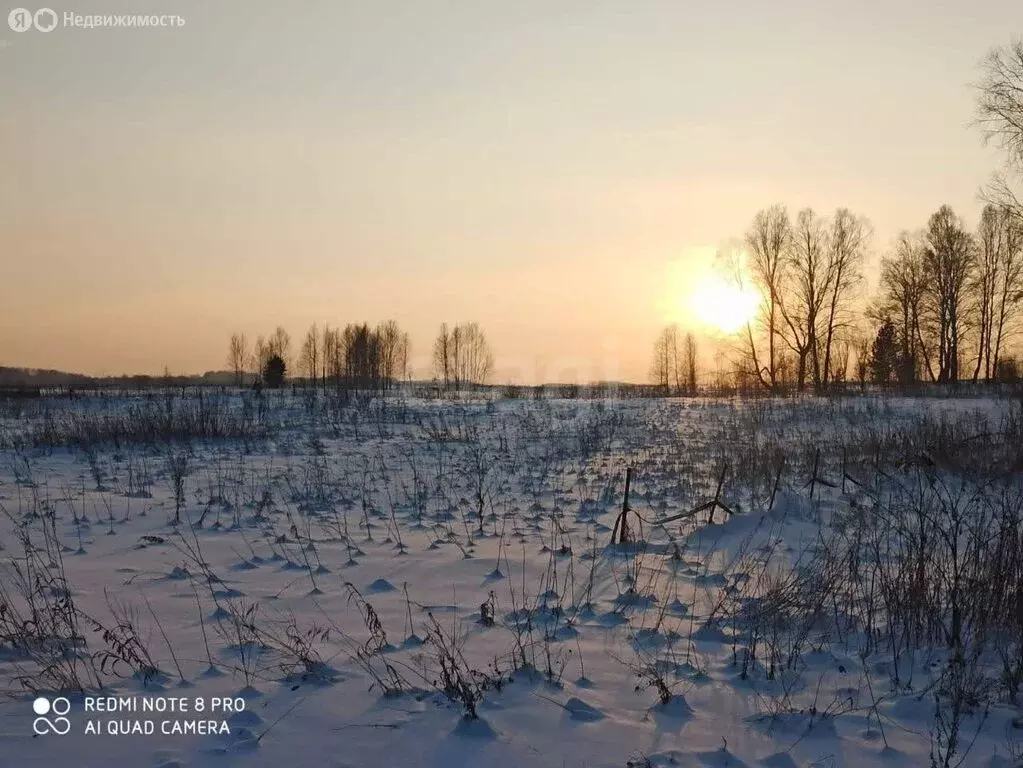 Участок в Тогучинский район, посёлок Пермский, Центральная улица (12 ... - Фото 1