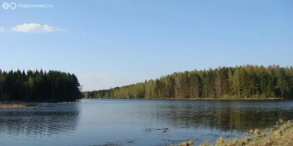 Участок в Ярославская область, Мышкинский муниципальный округ, ... - Фото 0