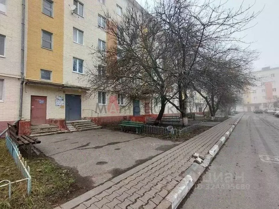 3-к кв. Белгородская область, Строитель Яковлевский городской округ, ... - Фото 1