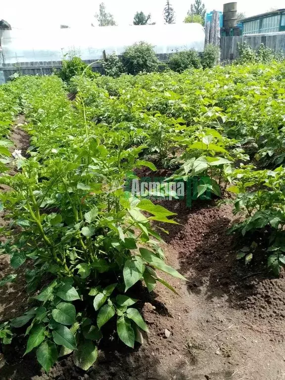 Участок в Чита, СНТ ПСК № 2 Машиностроитель (7 м) - Фото 1