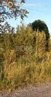 Участок в Череповецкий район, муниципальное образование Югское, ... - Фото 1