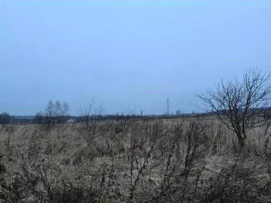 Участок в Московская область, Серпухов городской округ, д. Нефедово  ... - Фото 1