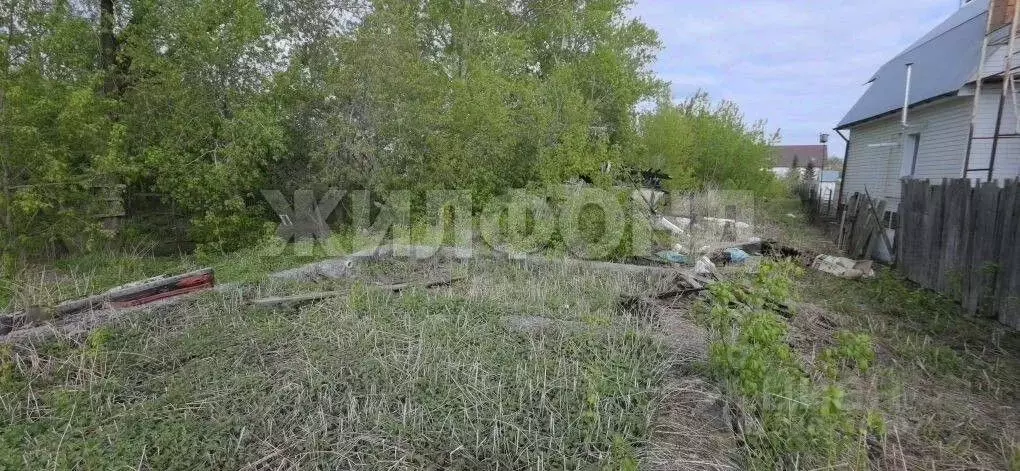 Участок в Новосибирская область, Новосибирский район, с. Толмачево ... - Фото 2