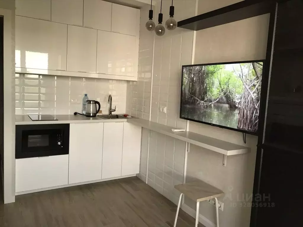 Студия Московская область, Ленинский городской округ, Лопатино пгт ... - Фото 1