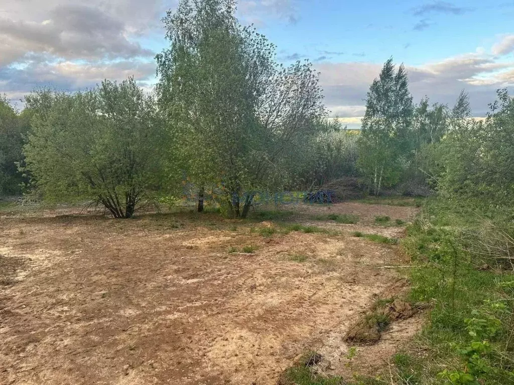 Участок в Нижегородская область, Нижний Новгород д. Афонино, ул. ... - Фото 1