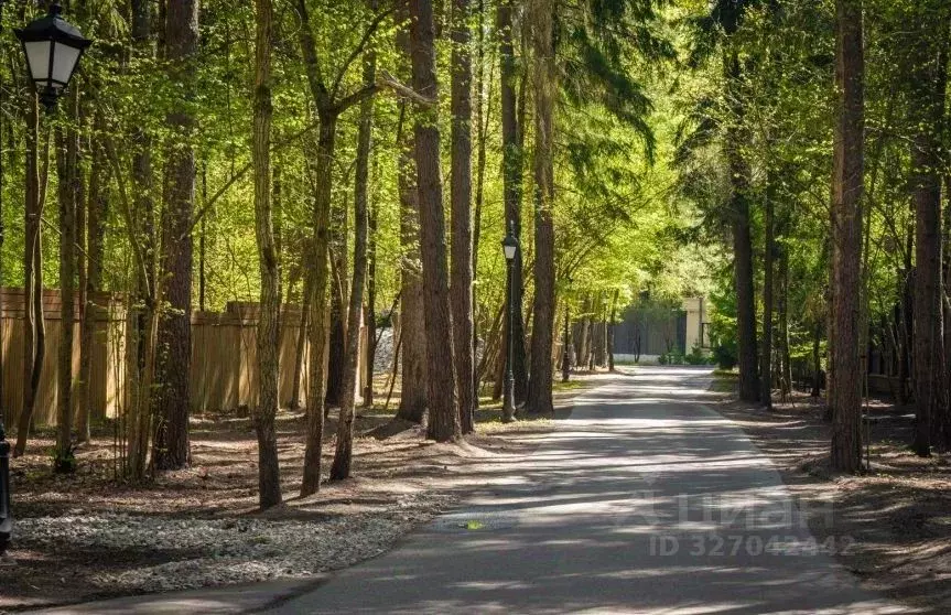 Участок в Московская область, Одинцовский городской округ, пос. дома ... - Фото 2