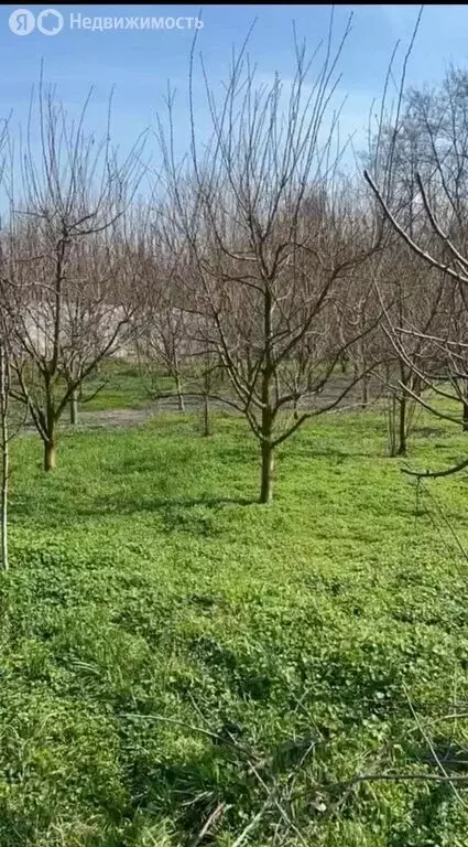 Участок в Терек, улица Мамхегова, 54 (25 м) - Фото 2