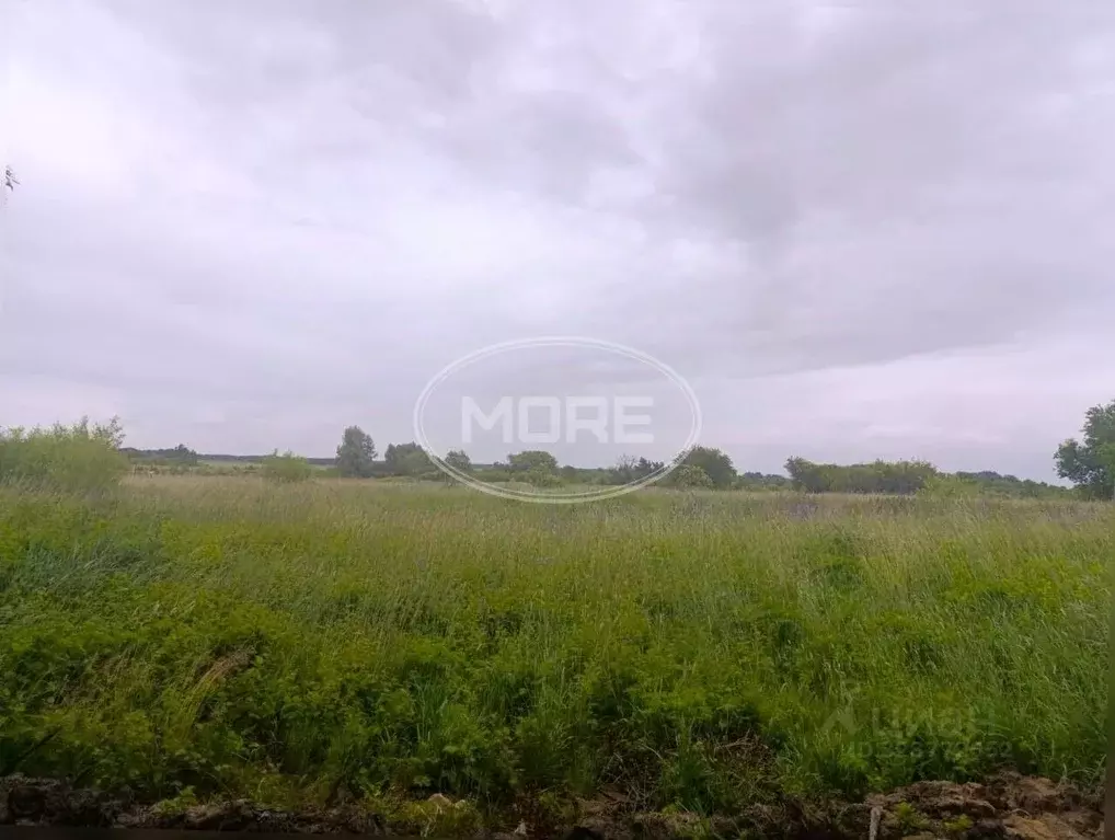 Участок в Калининградская область, Гурьевский муниципальный округ, ... - Фото 1