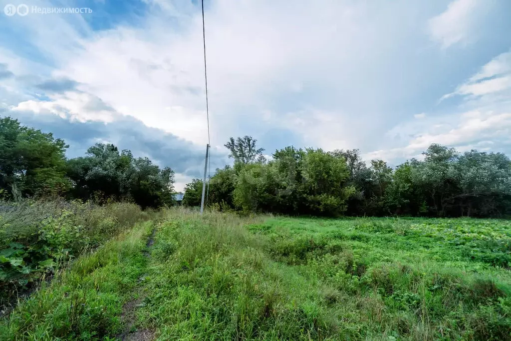 Участок в село Старобелокуриха, улица Овчинникова (18.5 м) - Фото 2