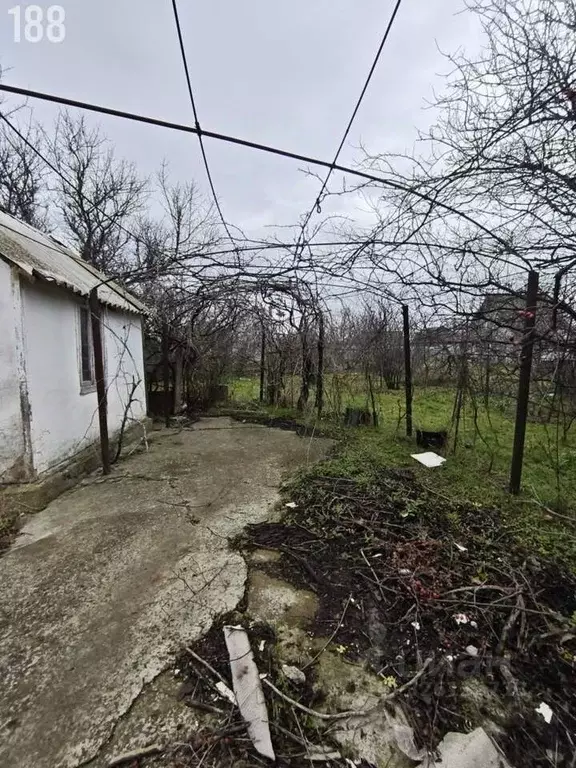 Участок в Крым, Феодосия Геотехник СПК, ул. Вишневая (4.0 сот.) - Фото 2