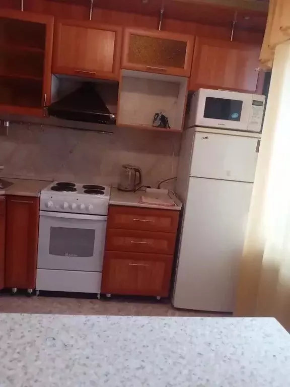 3-к кв. Алтай, Майминский район, с. Майма ул. Березовая роща, 11 (59.0 ... - Фото 1