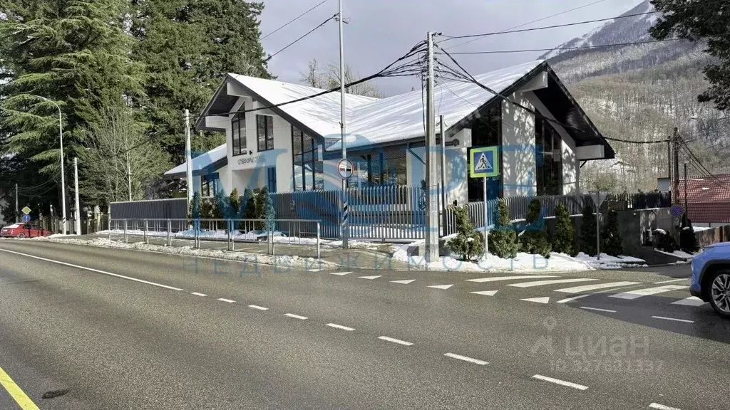 Помещение свободного назначения в Краснодарский край, Сочи Красная ... - Фото 1