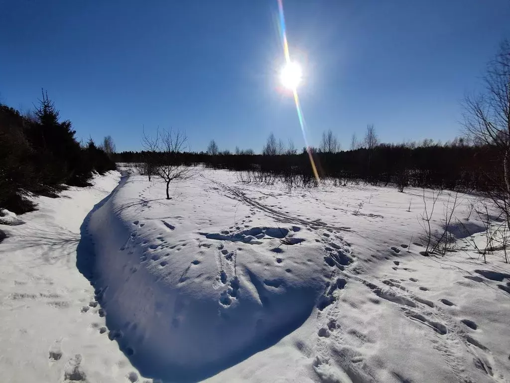 Участок в Московская область, Дмитровский муниципальный округ, д. ... - Фото 1
