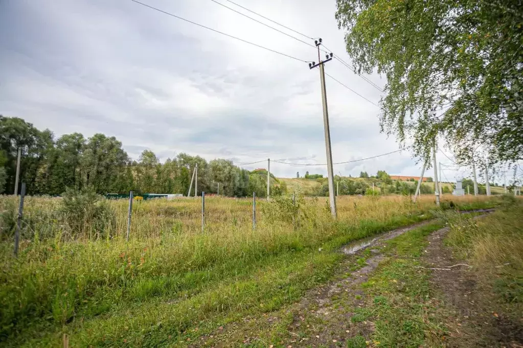 Участок в Новосибирская область, Бердск  (10.0 сот.) - Фото 1