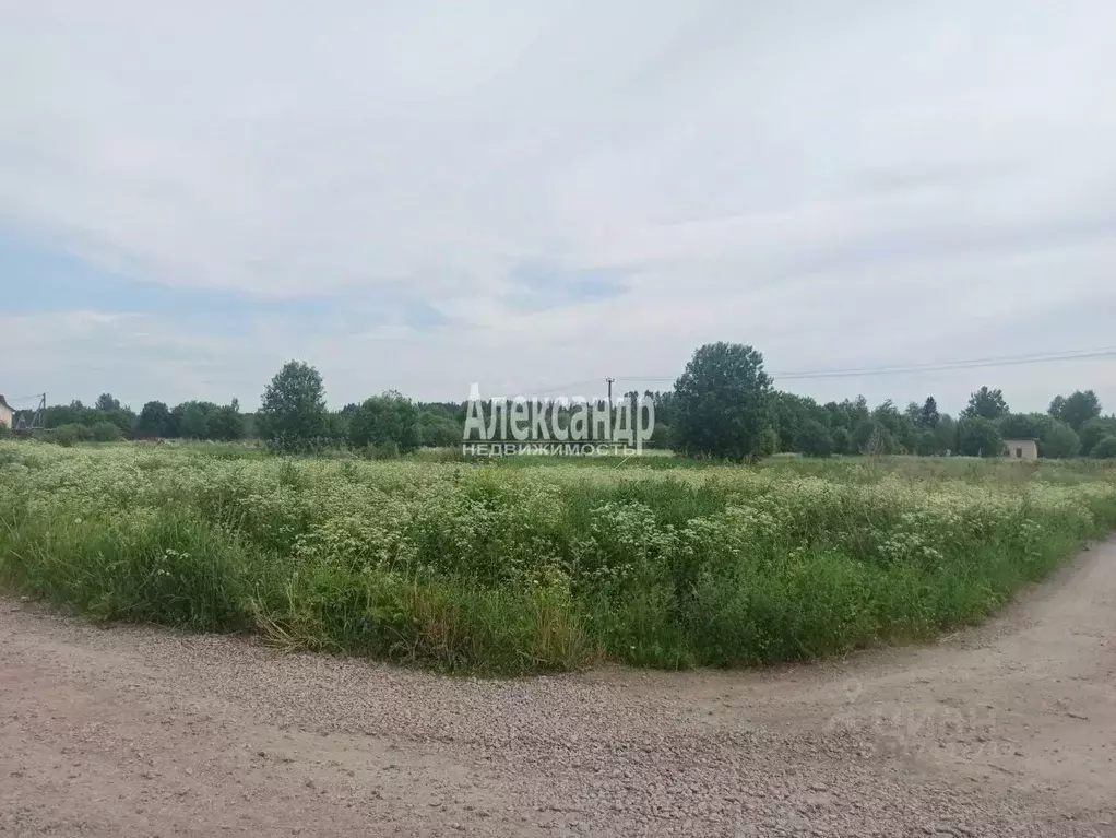 Участок в Ленинградская область, Выборгский район, пос. Селезнево ... - Фото 0