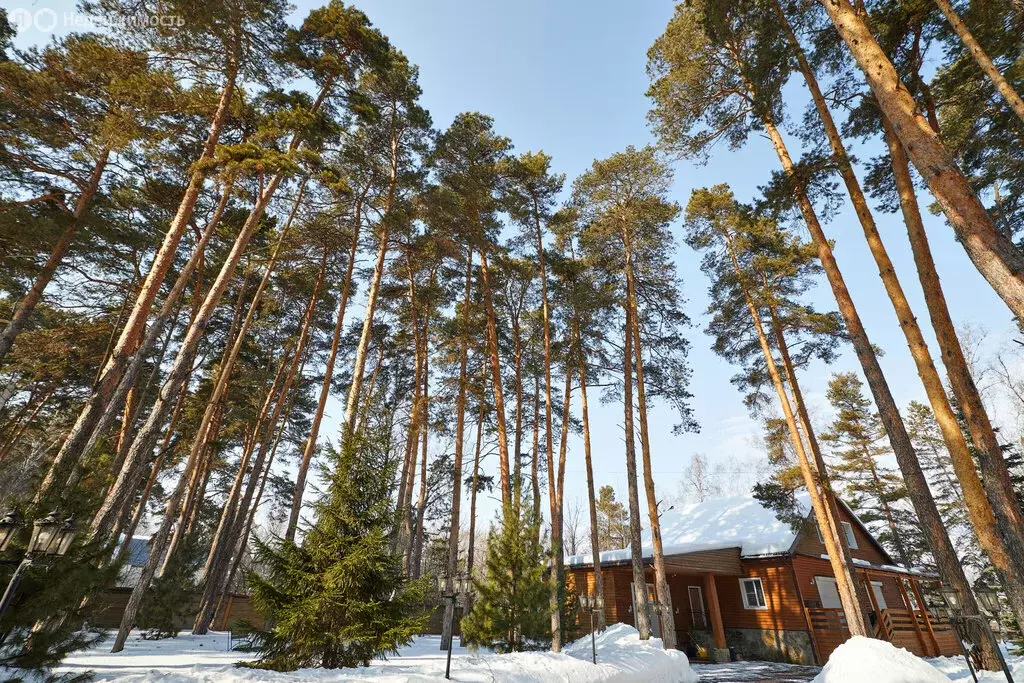 Дом в деревня Печёнкино, Лесная улица (279 м) - Фото 1