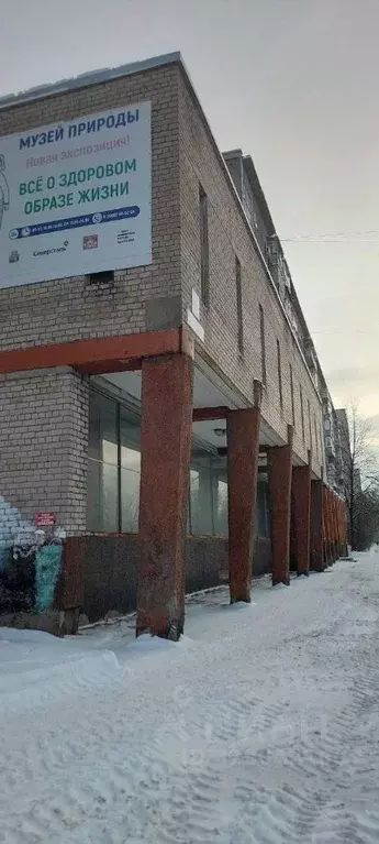 Помещение свободного назначения в Вологодская область, Череповец ... - Фото 2