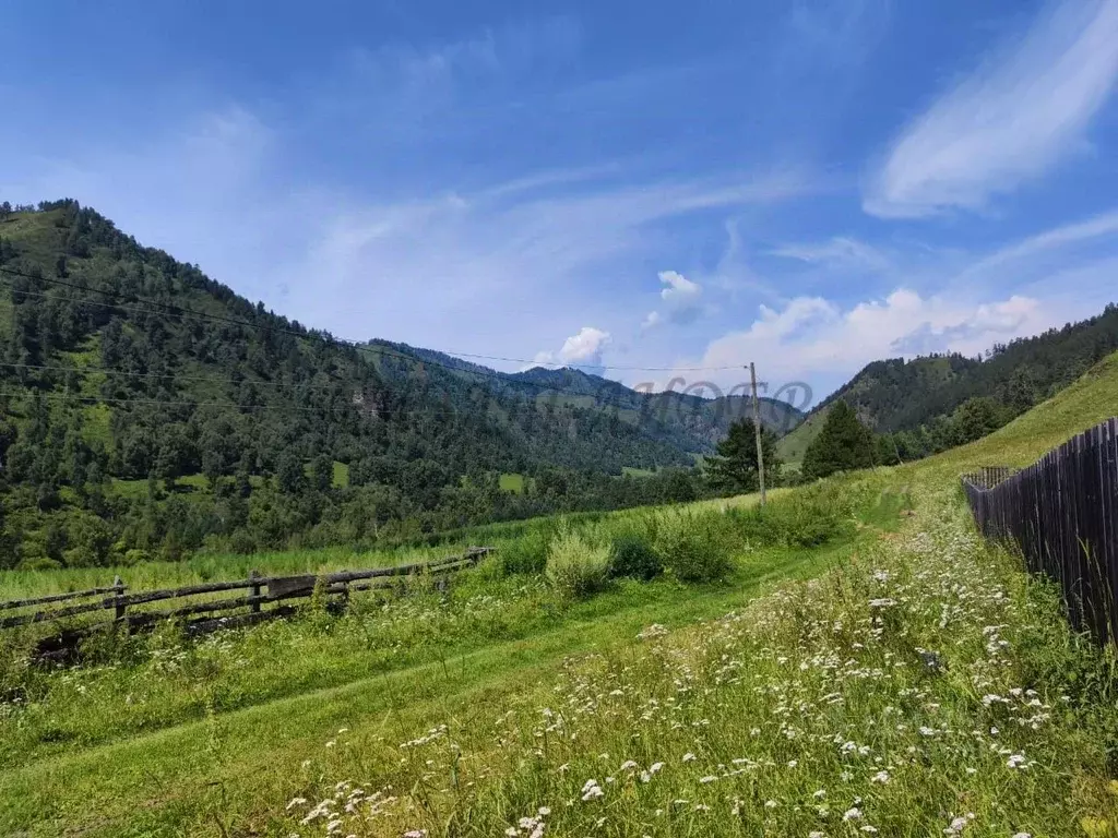 Участок в Алтай, Чемальский район, с. Уожан  (100.0 сот.) - Фото 2