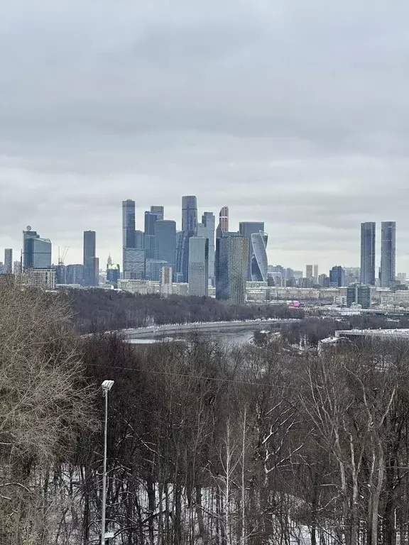 Помещение свободного назначения в Москва наб. Пресненская, 12 (7 м) - Фото 2